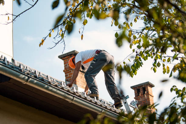 Best Storm Damage Roof Repair  in Princevle, IL