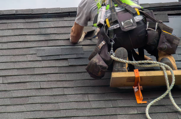 Best Storm Damage Roof Repair  in Princevle, IL