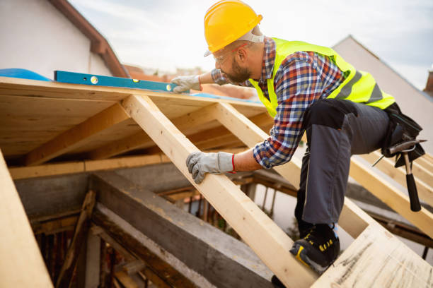 Best Roof Waterproofing Services  in Princevle, IL
