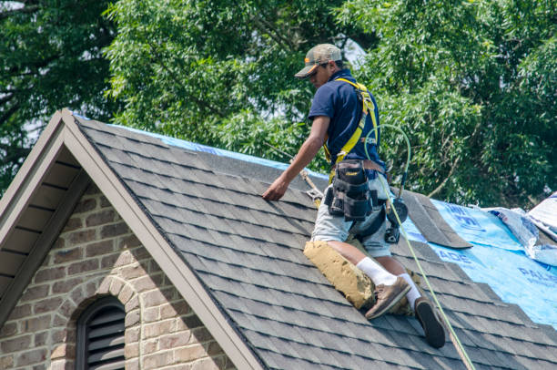 Roof Gutter Cleaning in Princeville, IL